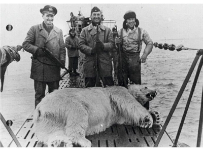 4 U-boot Crew With A Killed Polar Bear - image 2