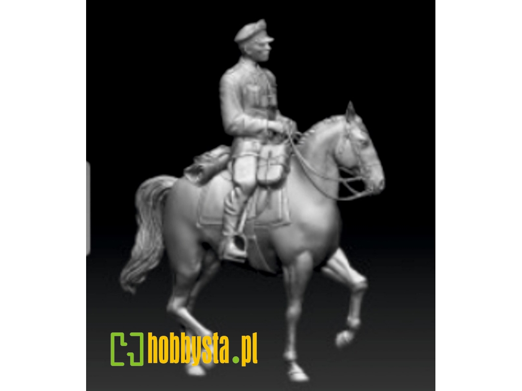 German Wwii Waffen Ss Officer On Horse - image 1