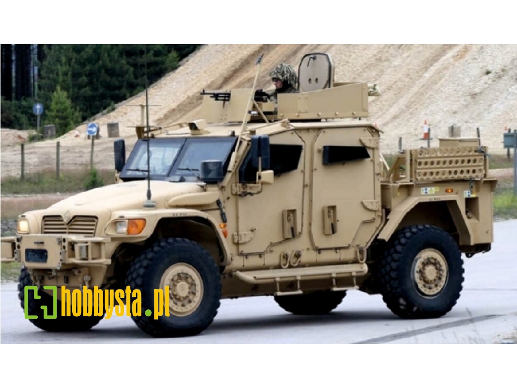 Ukrainian Husky - image 1