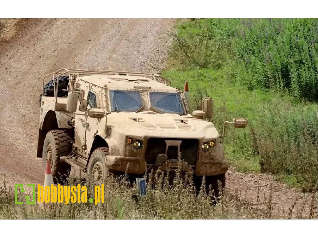 Ukrainian Oskosh L-atv - image 1
