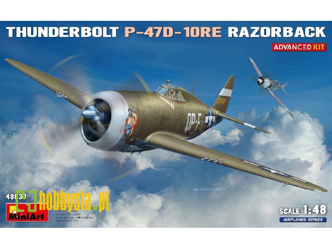 Republic P-47 D-10 Re Thunderbolt  Razorback Advanced Kit - image 1