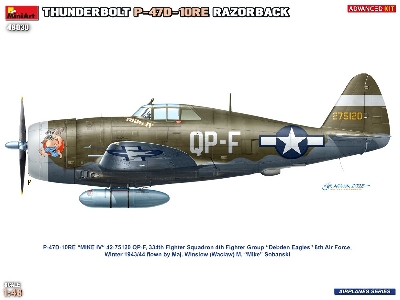 Republic P-47 D-10 Re Thunderbolt  Razorback Advanced Kit - image 2