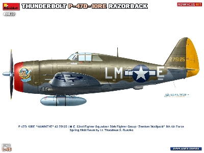 Republic P-47 D-10 Re Thunderbolt  Razorback Advanced Kit - image 15