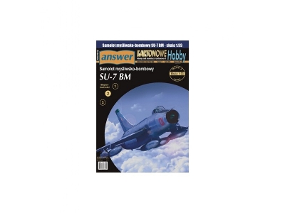 Su-7 Bm - Fighter-bomber - image 1