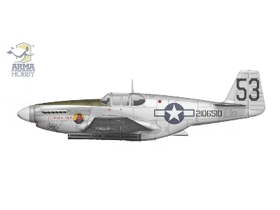 P-51b Mustang China/Burma/India - image 6