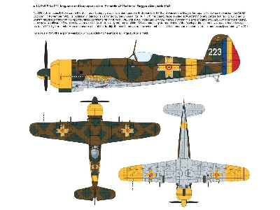 Iar.80b - Romanian Fighter Over Stalingrad - image 2