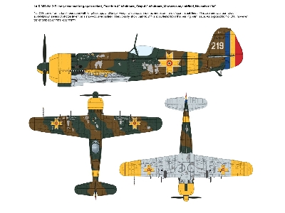 Iar.80b - Romanian Fighter Over Stalingrad - image 13