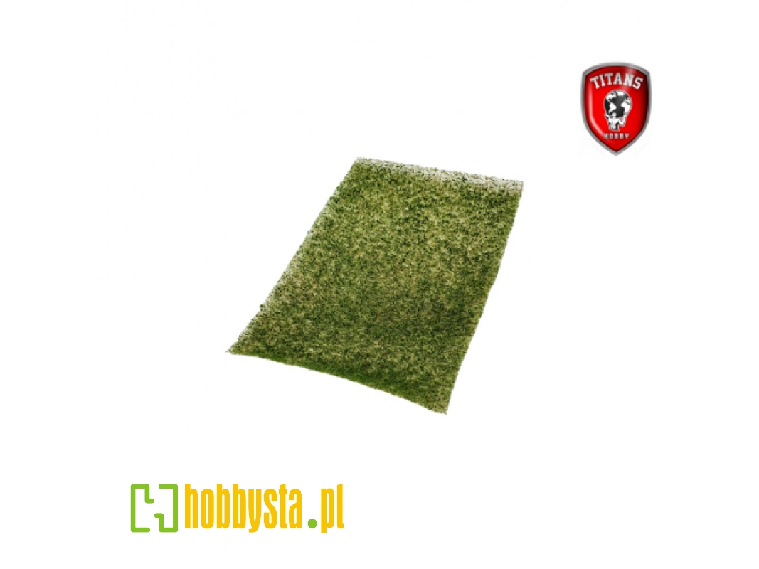 Grass Mat Green Type 3 (4 - 8 Mm / 20 X 30 Cm) - image 1