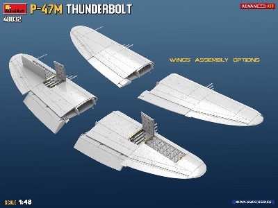 Republic P-47 M Thunderbolt (Advanced Kit) - image 3