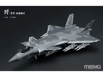 Chinese J-20 Stealth Fighter Beast Mode - image 2