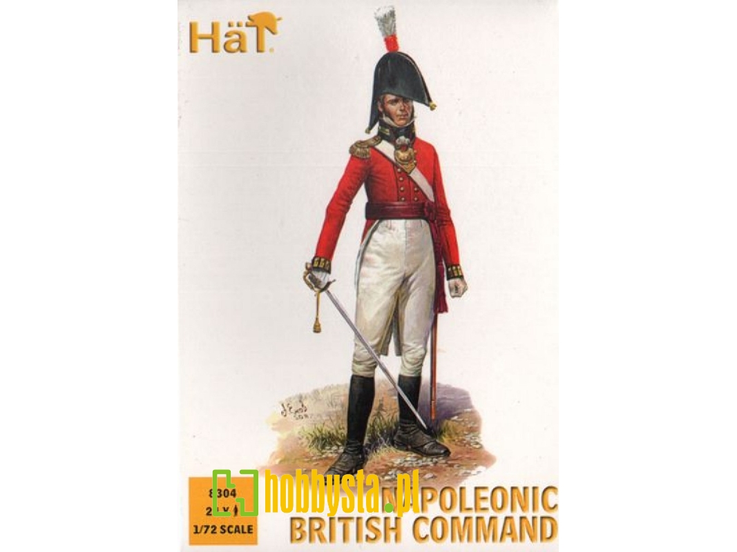 Napoleonic British Command - image 1