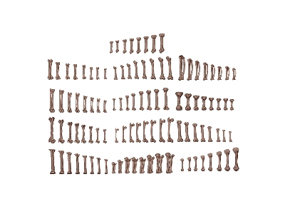 Human Bones - Basing Bits (3d-printed / 104 Pcs) - image 2