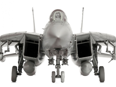 Grumman F-14d Tomcat - image 9