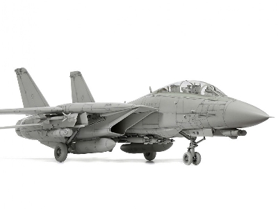 Grumman F-14d Tomcat - image 10