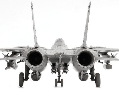 Grumman F-14d Tomcat - image 16