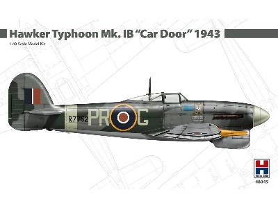 Hawker Typhoon Mk. Ib Car Door (1943) - image 1