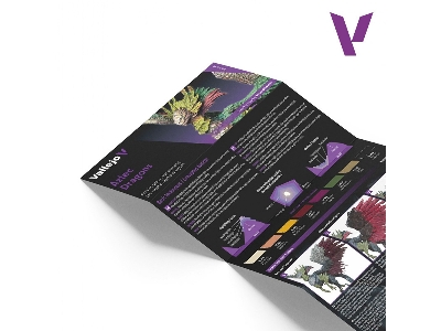 72195 Fantasy Color Set Aztec Dragons - image 4