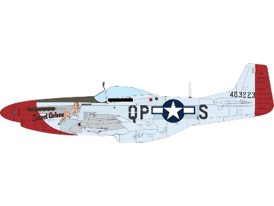 North American P-51 D Mustang - Mighty Eight (4th Fg, 355th Fg, 361st Fg And 479th Fg Decals) - image 1