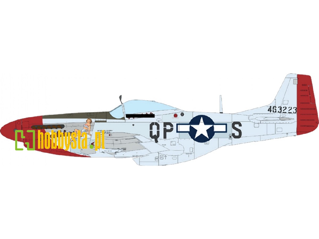 North American P-51 D Mustang - Mighty Eight (4th Fg, 355th Fg, 361st Fg And 479th Fg Decals) - image 1