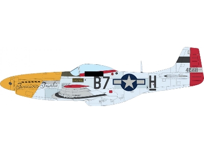 North American P-51 D Mustang - Mighty Eight (4th Fg, 355th Fg, 361st Fg And 479th Fg Decals) - image 13