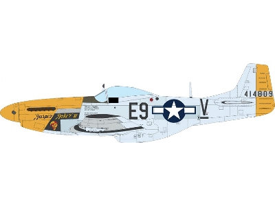 North American P-51 D Mustang - Mighty Eight (4th Fg, 355th Fg, 361st Fg And 479th Fg Decals) - image 15
