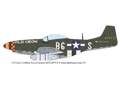 North American P-51 D Mustang - The Weekend Edition - image 7