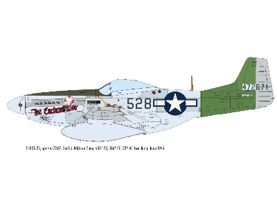 North American P-51 D Mustang - The Weekend Edition - image 8