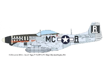 North American P-51 D Mustang - The Weekend Edition - image 9