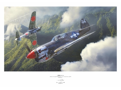 Curtiss P-40 N Warhawk Poster - image 1
