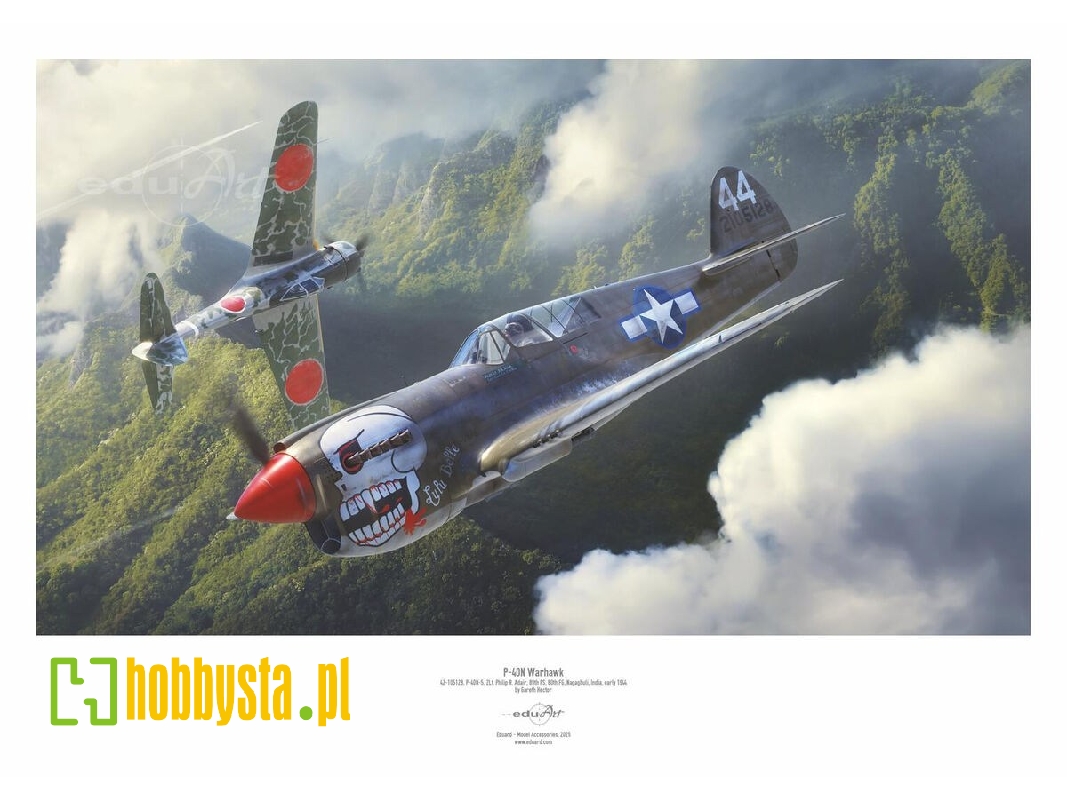 Curtiss P-40 N Warhawk Poster - image 1