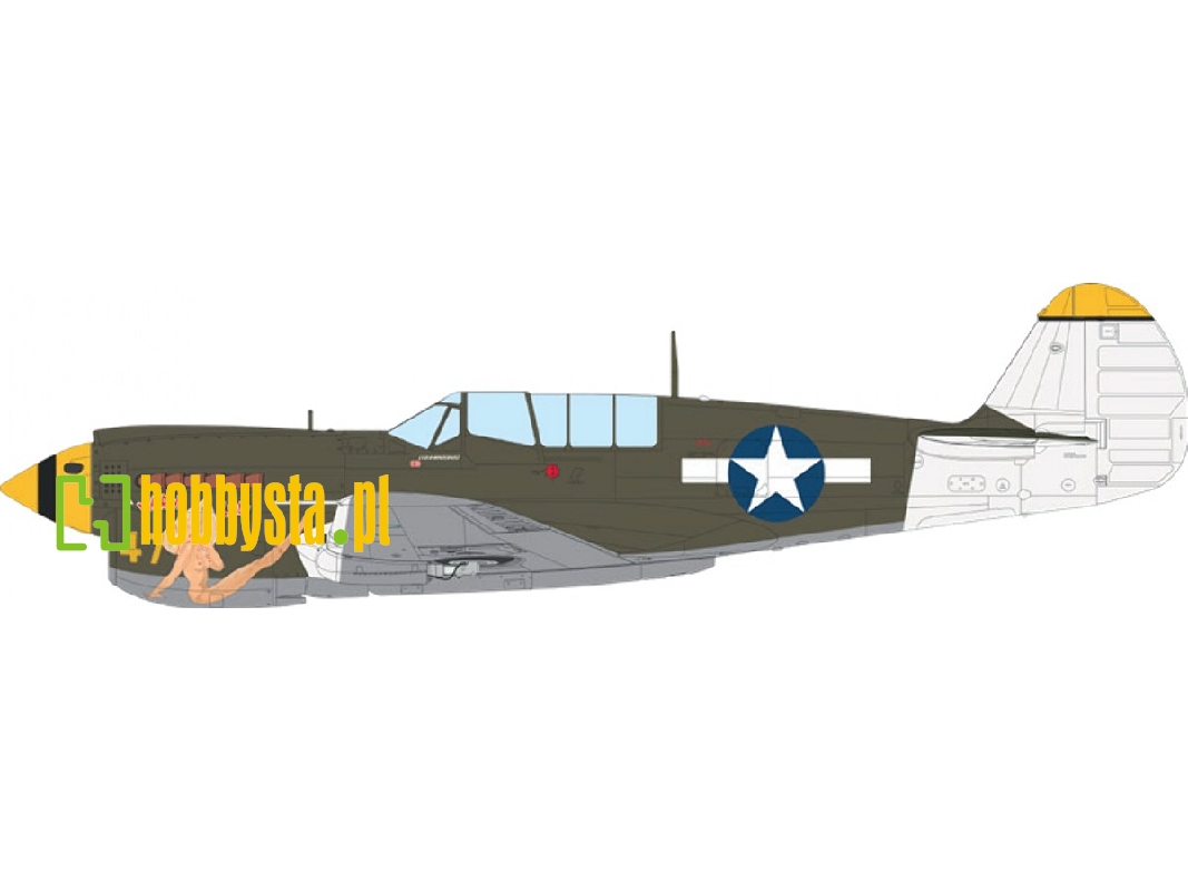 Curtiss P-40 N Warhawk - The Weekend Edition - image 1