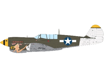 Curtiss P-40 N Warhawk - The Weekend Edition - image 11