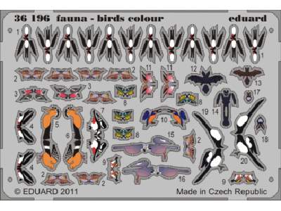 Fauna - birds colour 1/35 - image 1