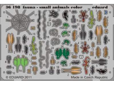 Fauna - small animals - colour 1/35 - image 1
