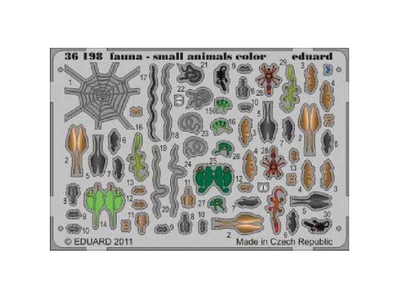 Fauna - small animals - colour 1/35 - image 1