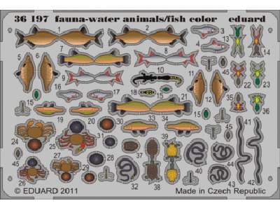 Fauna - water animals/ fish - colour 1/35 - image 1