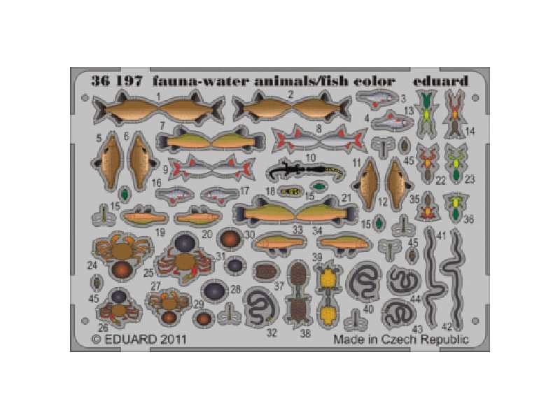 Fauna - water animals/ fish - colour 1/35 - image 1 Fauna - water animals/ fish - colour 1/35 - image 1