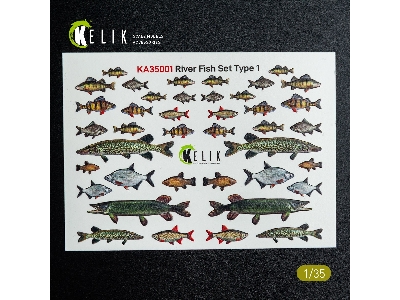 River Fish Set Type 1 - 3d-decal For Dioramas - image 1