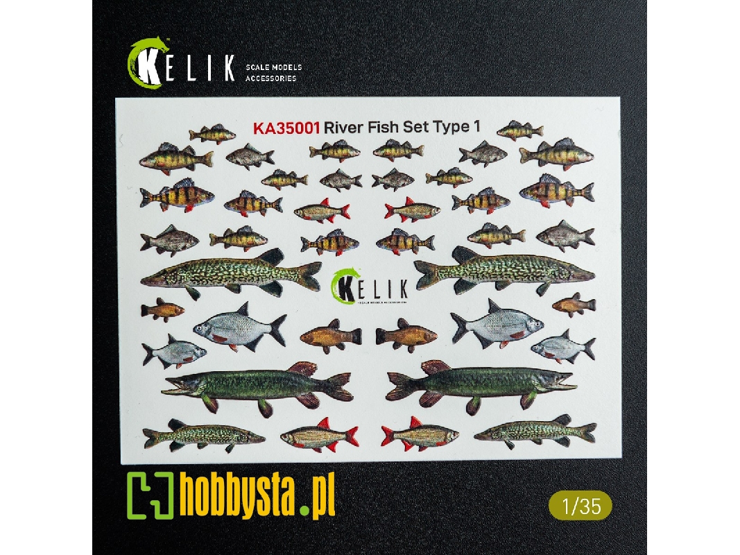 River Fish Set Type 1 - 3d-decal For Dioramas - image 1