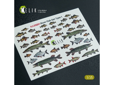 River Fish Set Type 1 - 3d-decal For Dioramas - image 2