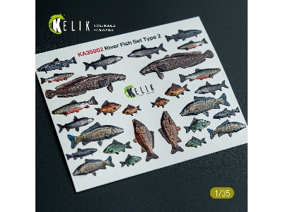 River Fish Set Type 2 - 3d-decal For Dioramas - image 1