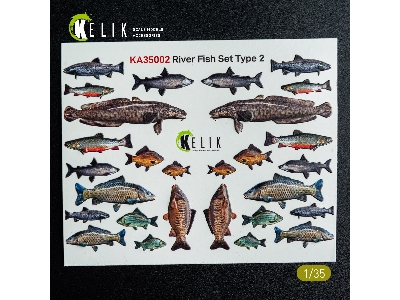 River Fish Set Type 2 - 3d-decal For Dioramas - image 2