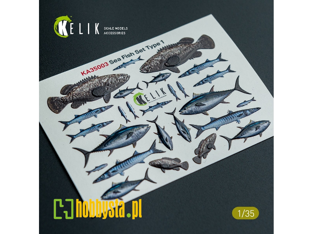 Sea Fish Set Type 1 - 3d-decal For Dioramas - image 1