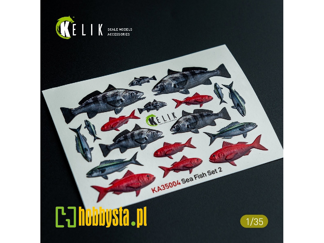 Sea Fish Set Type 2 - 3d-decal For Dioramas - image 1