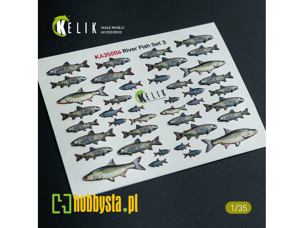 River Fish Set Type 3 - 3d-decal For Dioramas - image 1