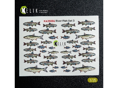 River Fish Set Type 3 - 3d-decal For Dioramas - image 2