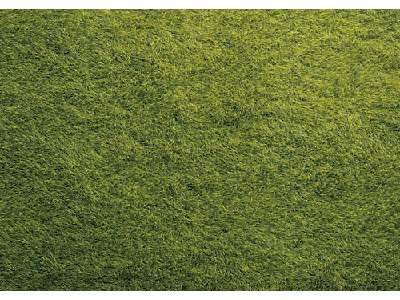 Mata dzika trawa, ciemno-zielona - 40 x 29,5 cm - image 1
