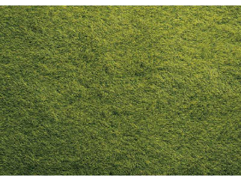 Mata dzika trawa, ciemno-zielona - 40 x 29,5 cm - image 1
