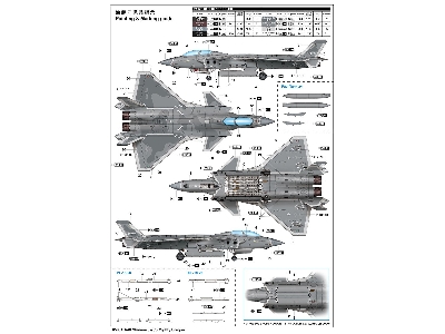Chinese J-20s Mighty Dragon - image 23