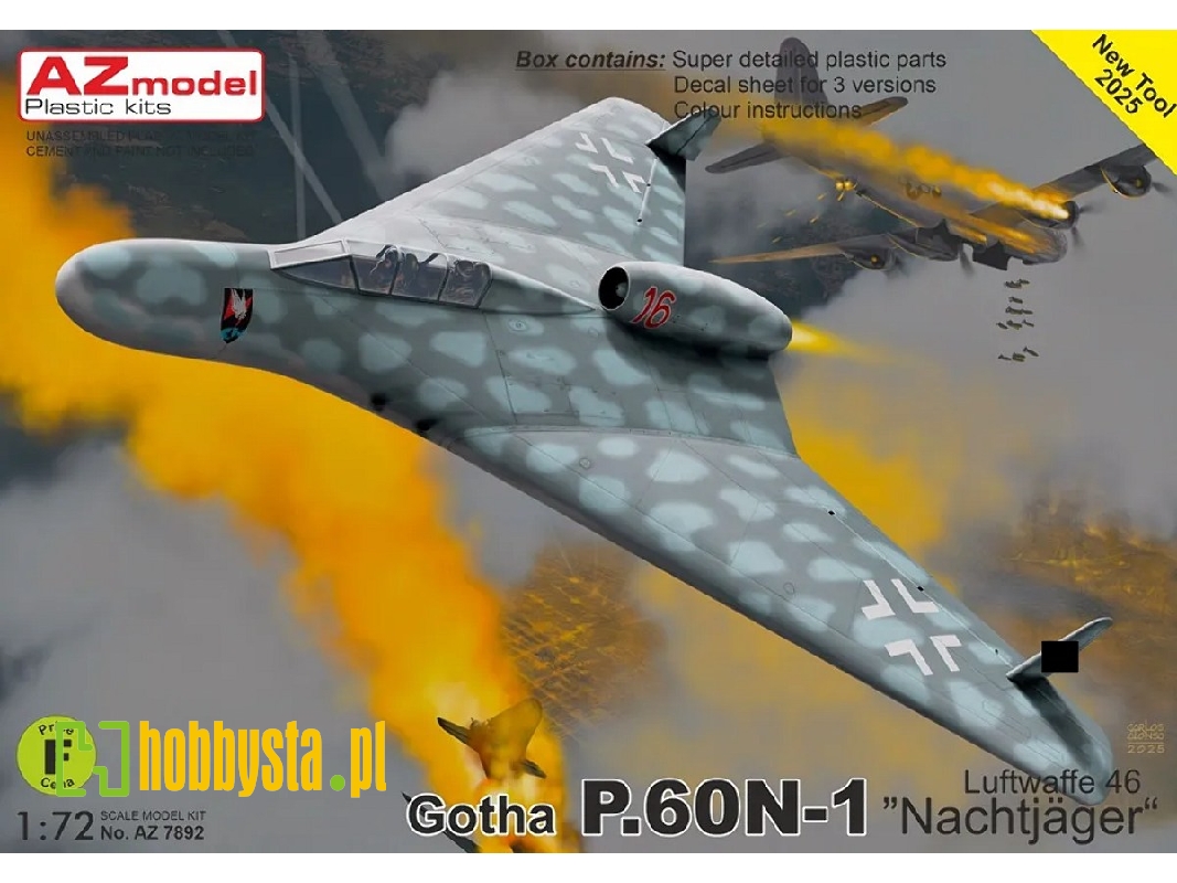 Gotha P.60n-1 'nachtjäger' Luftwaffe 46 - image 1